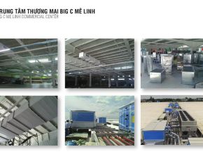 TRUNG TÂM THƯƠNG MẠI BIG C MÊ LINH